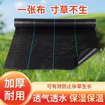 防草布抗老化新型地布除草布pp果农用盖草遮草厂家批发