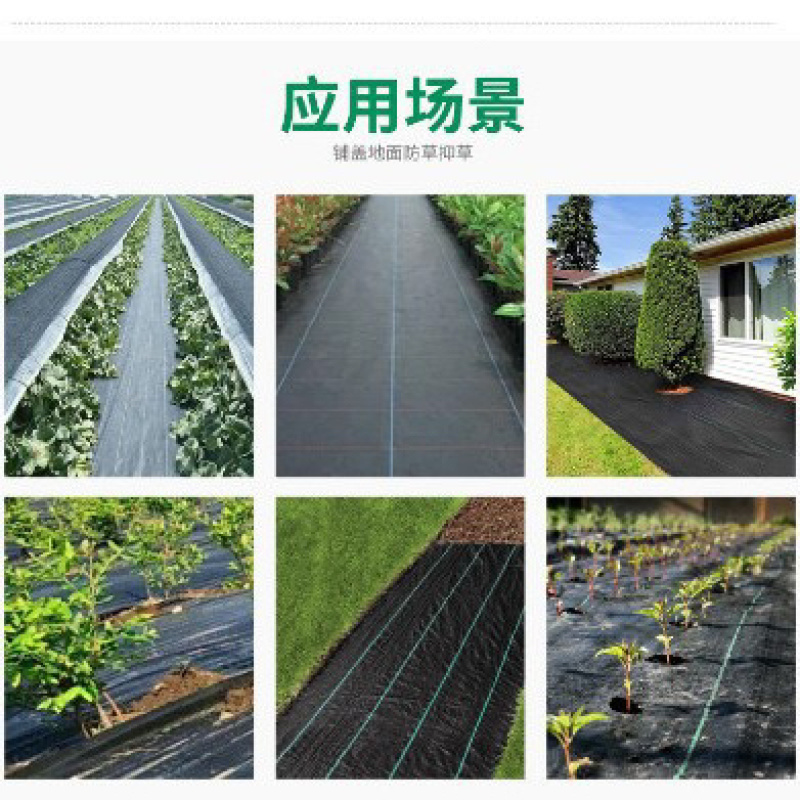 防草布抗老化新型地布除草布pp果农用盖草遮草厂家批发