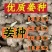 急售!生姜种子批发/已催芽即买即种【大/二黄姜种/山农】