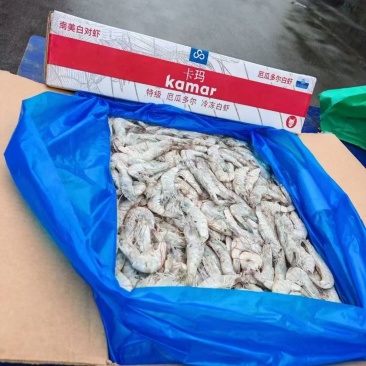 卡玛大板海虾，净重24斤，高品质低价，欢迎咨询