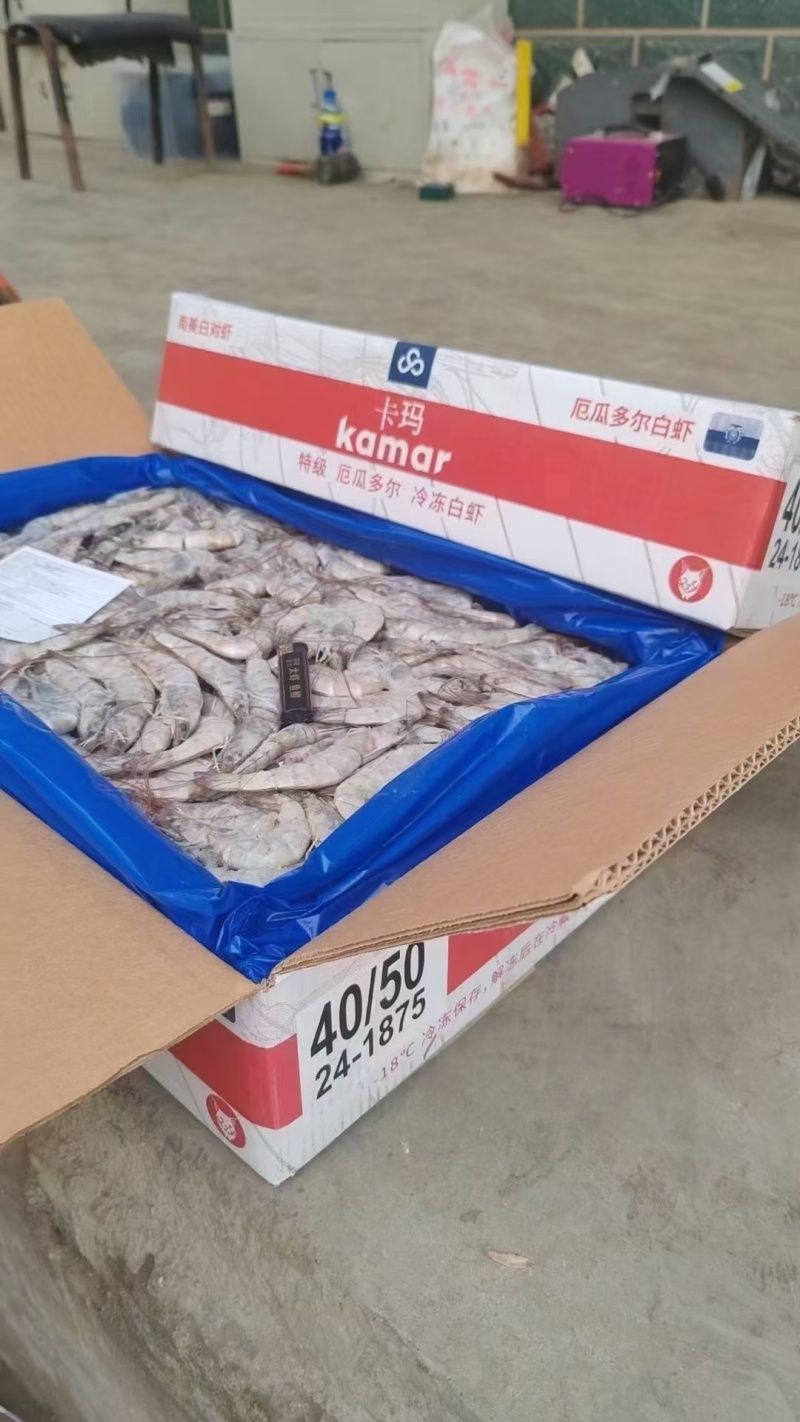 卡玛大板海虾，净重24斤，高品质低价，欢迎咨询