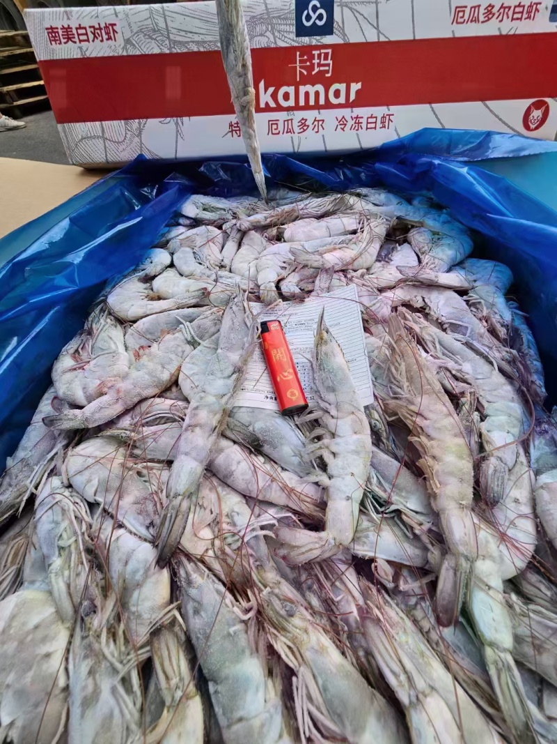 卡玛大板海虾，净重24斤，高品质低价，欢迎咨询