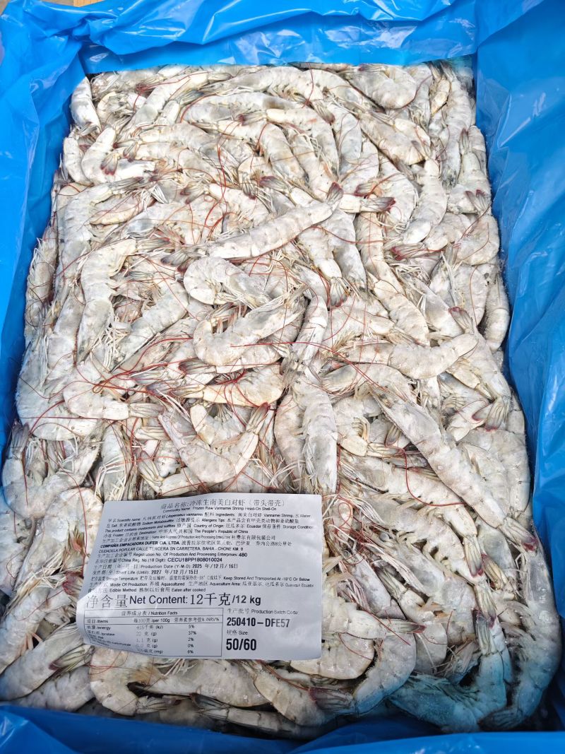 卡玛大板海虾，净重24斤，高品质低价，欢迎咨询