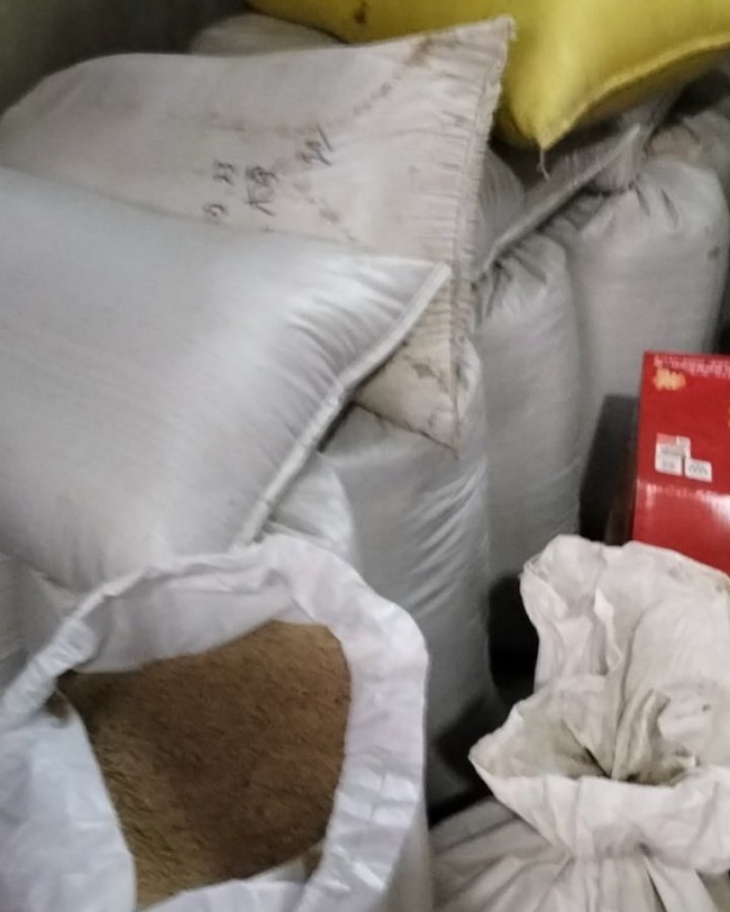 自产优质白芝麻颗粒保满品质好无杂质一吨货不零卖可上门收购