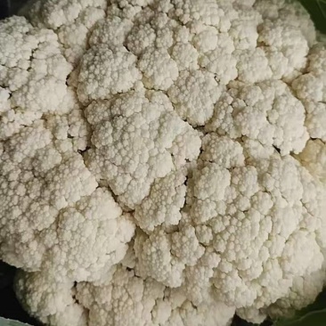 精品花菜，产地直发