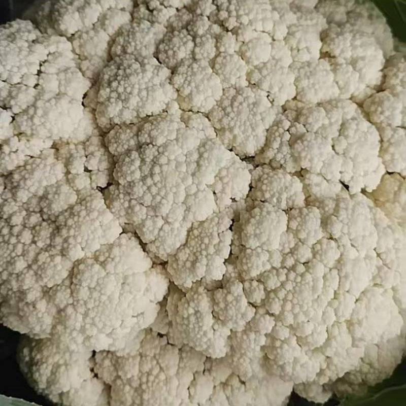 精品花菜，产地直发