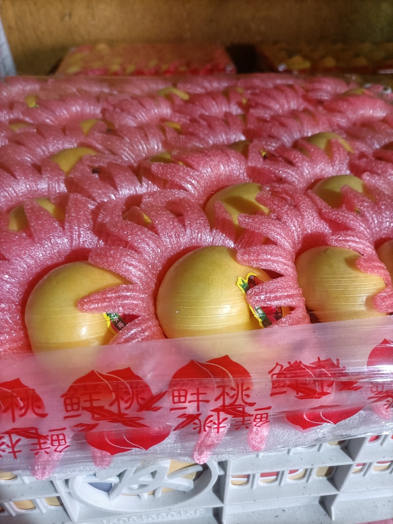 油盘桃品质保证产地直发一手货源进店咨询☎️