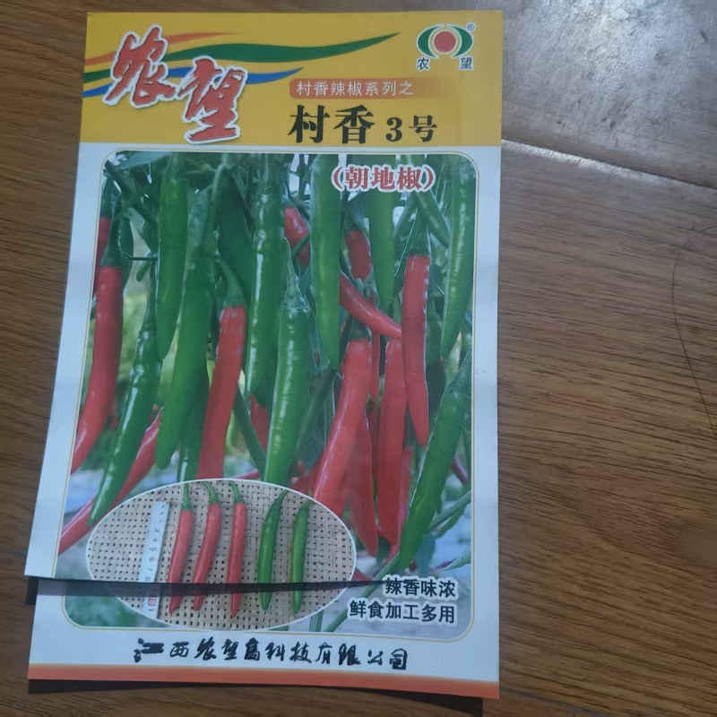 湖南辣椒苗