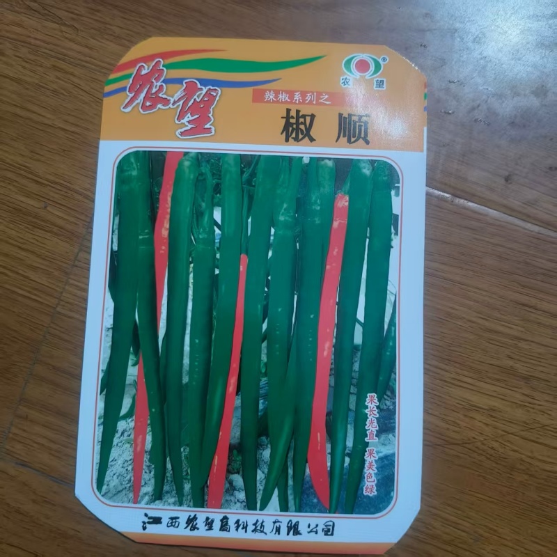湖南辣椒苗
