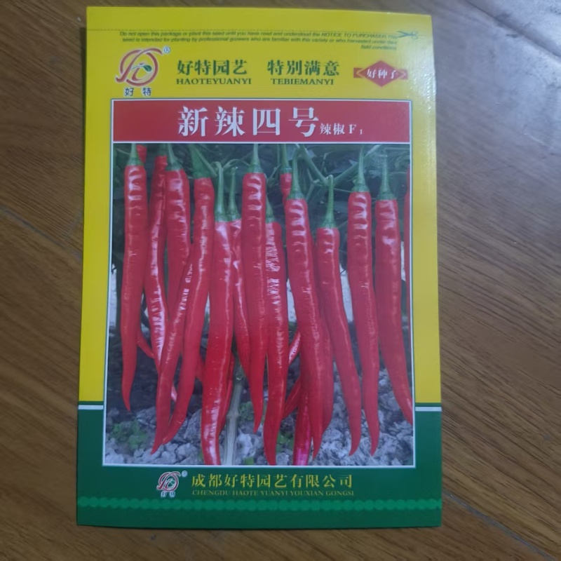 湖南辣椒苗