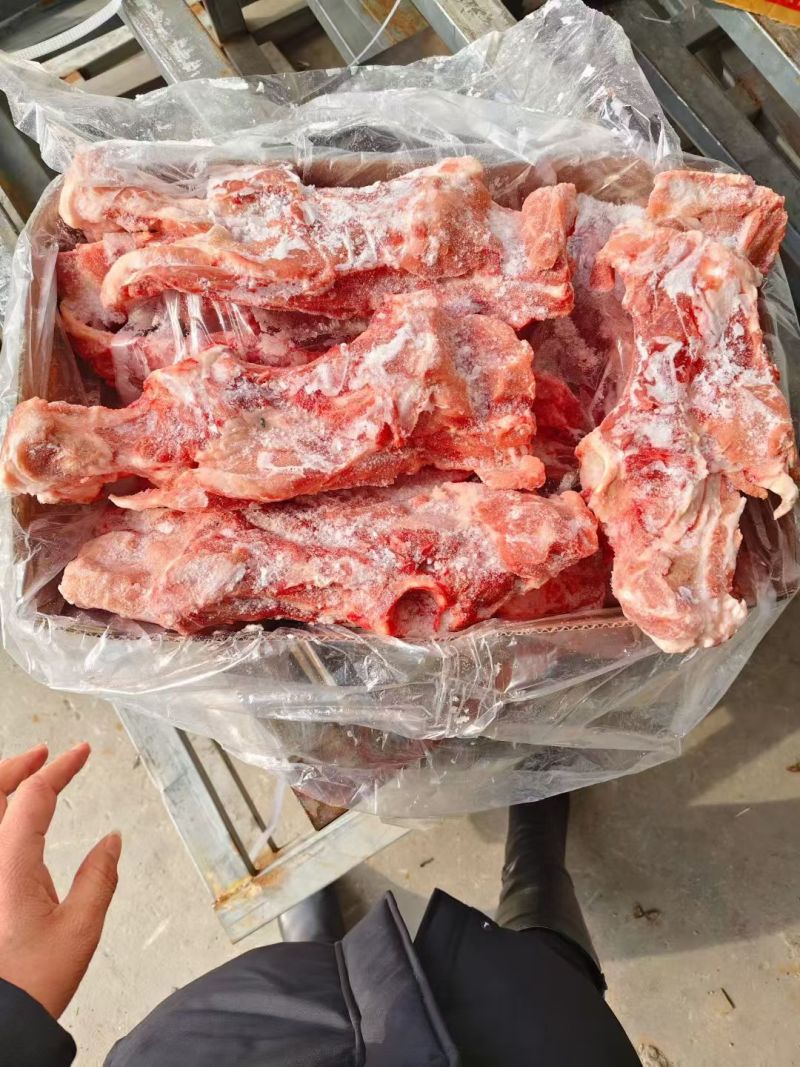 肥猪尾叉