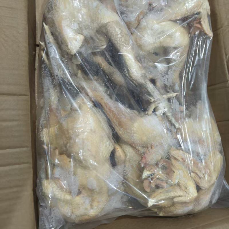处理公鸡三黄鸡共6吨