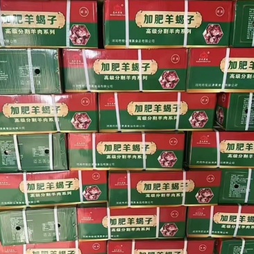 马氏加肥羊蝎子