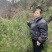 河南白皮松1米到2米