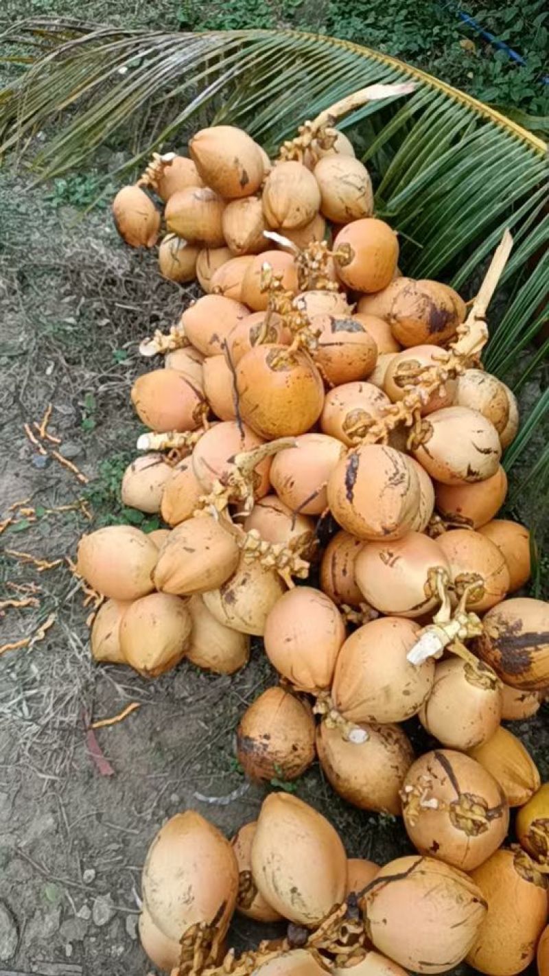 合伙人