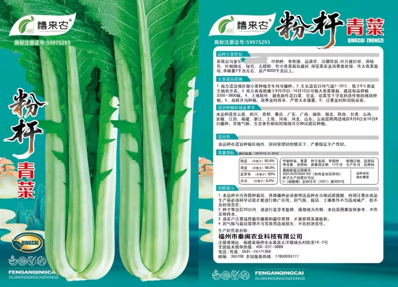 粉杆青菜种子云南特色小苦菜种子中早熟耐寒田园蔬菜种子