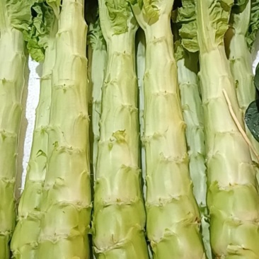 现有大量青莴笋出售***********