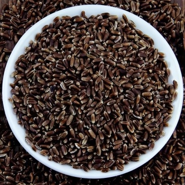 老牛家黑小麦
