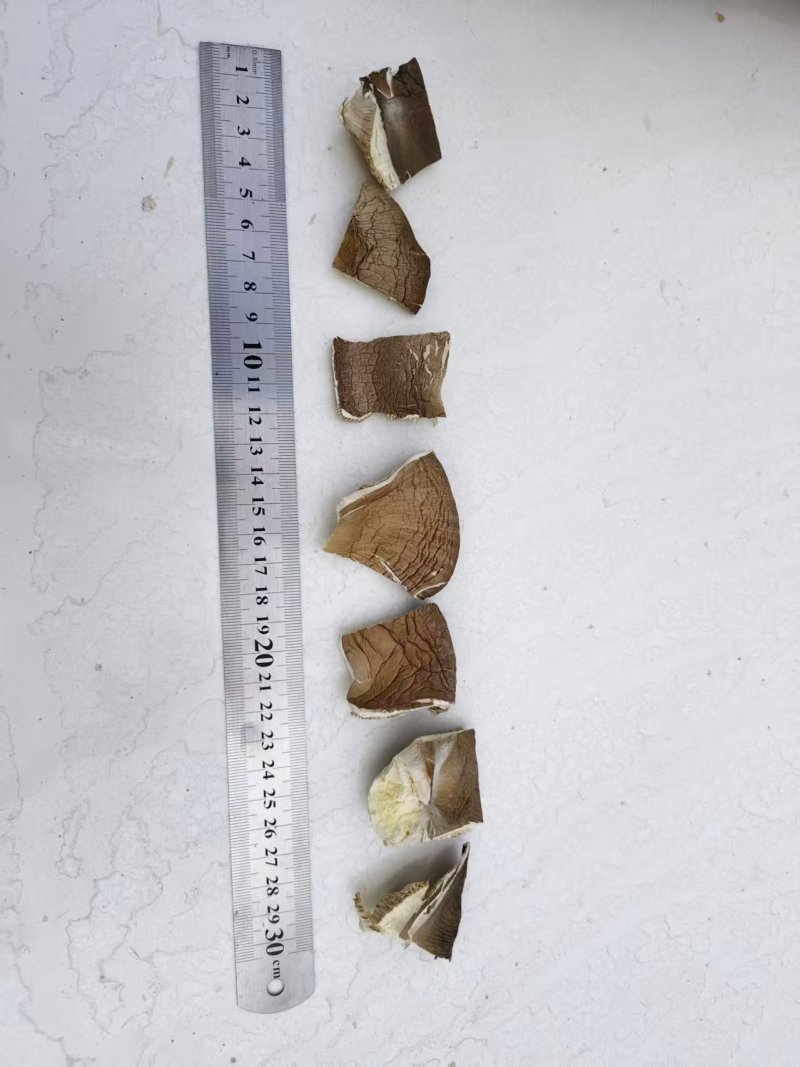 优质平菇干产地直供干货批发肉质厚实现货充足
