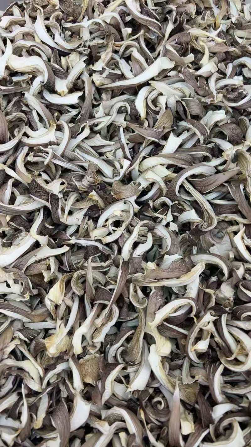 优质平菇干产地直供干货批发肉质厚实现货充足