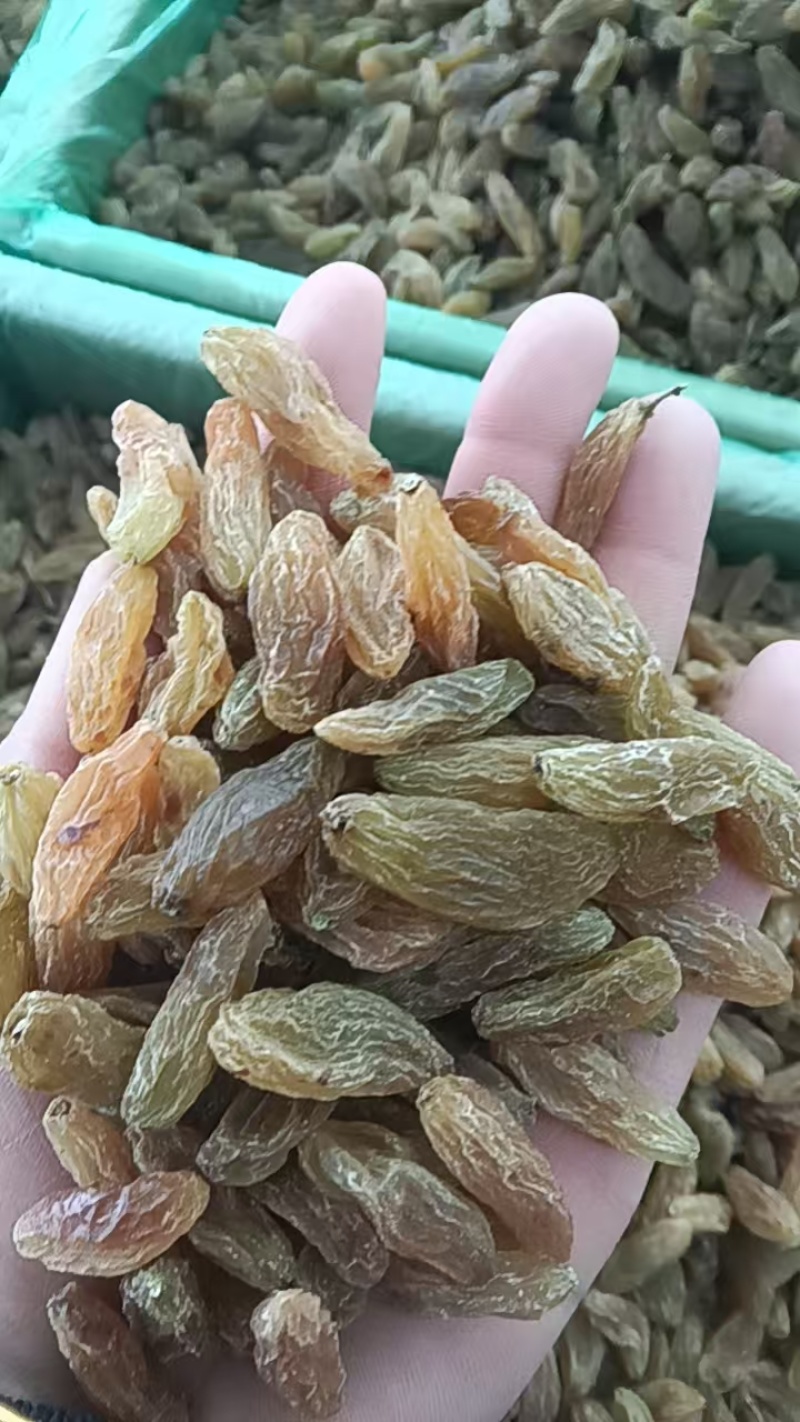 吐鲁番黄香妃葡萄干自然的从基地发货价格优势