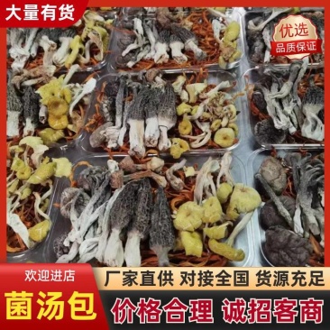 精品菌汤包产地直供多菌组合煲汤鲜香批发量大从优