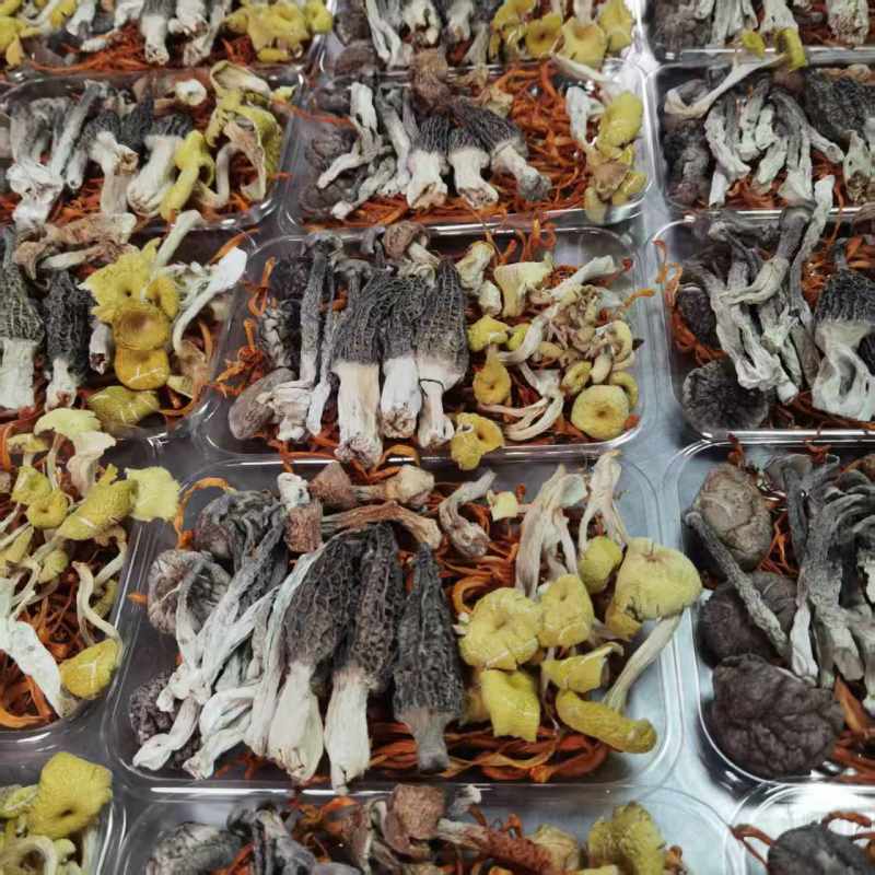 精品菌汤包产地直供多菌组合煲汤鲜香批发量大从优