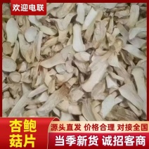 杏鲍菇片干货批发产地直供肉质厚实量大从优品质好
