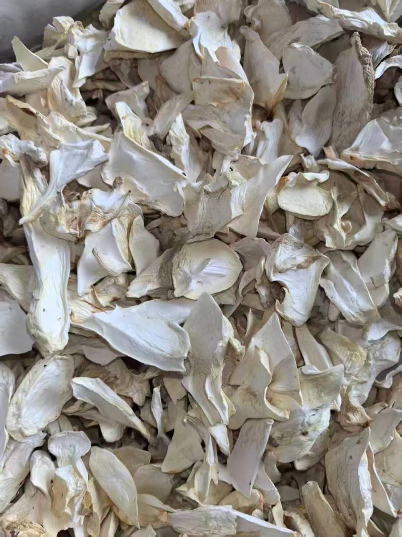 杏鲍菇片干货批发产地直供肉质厚实量大从优品质好