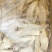 杏鲍菇片干货批发产地直供肉质厚实量大从优品质好