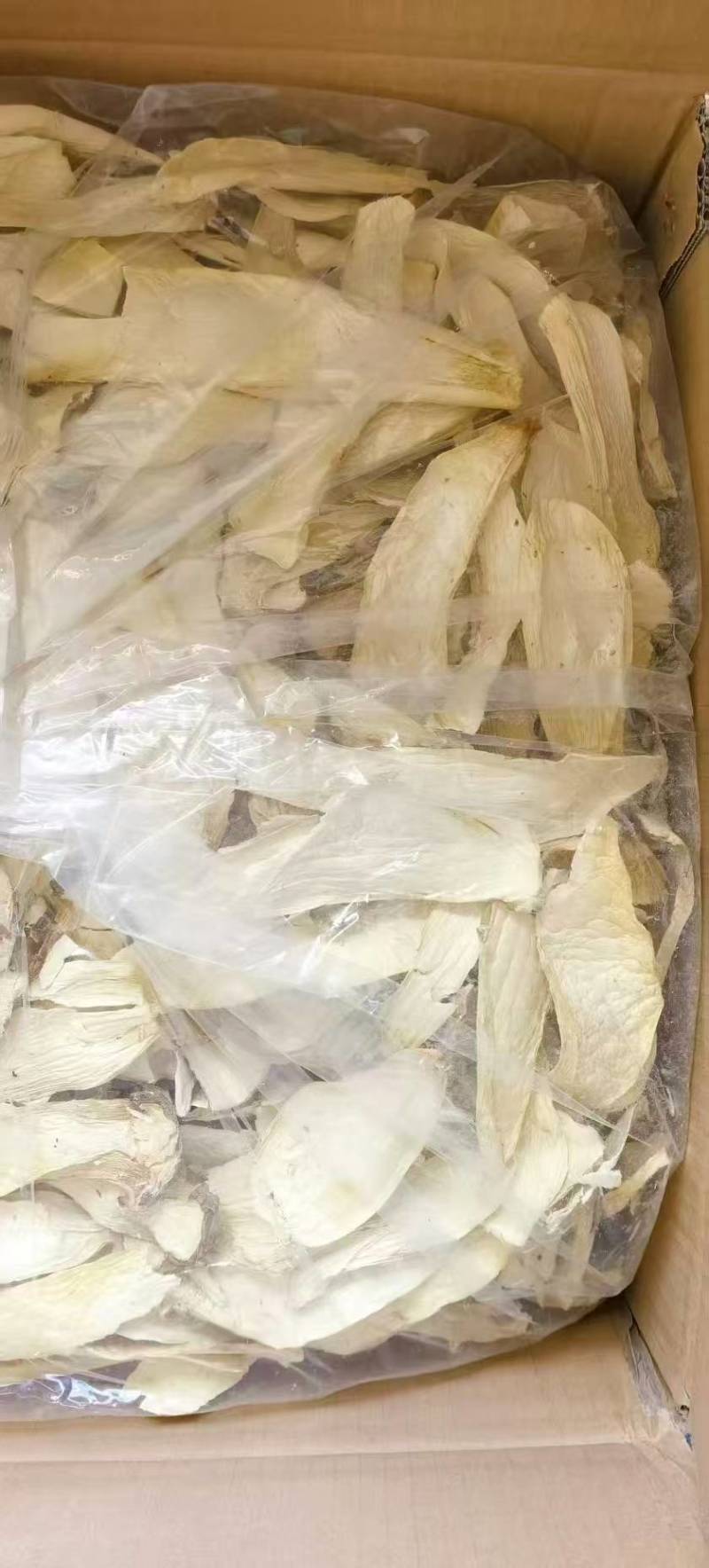 杏鲍菇片干货批发产地直供肉质厚实量大从优品质好