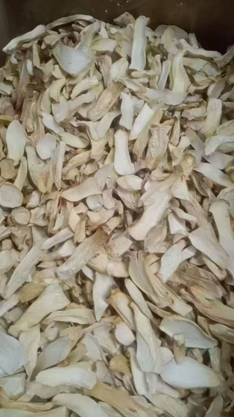 杏鲍菇片干货批发产地直供肉质厚实量大从优品质好