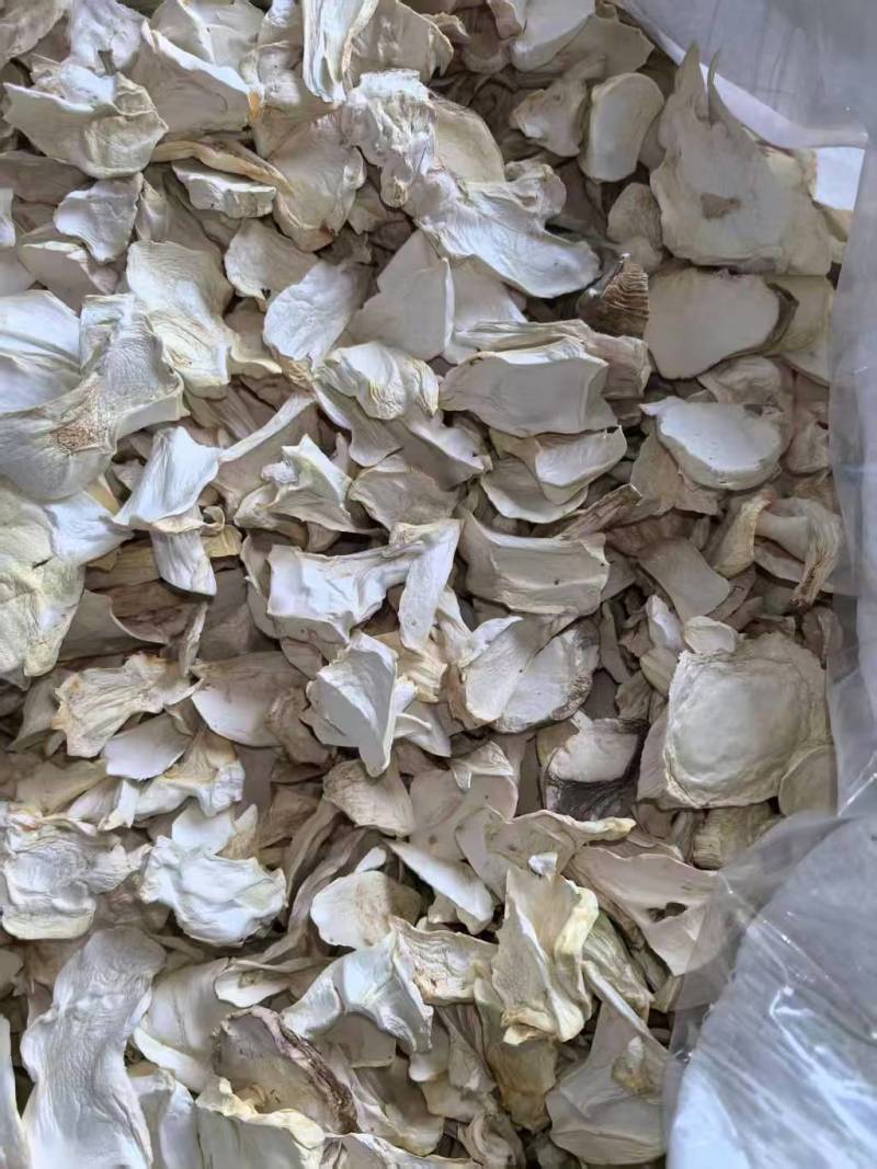 杏鲍菇片干货批发产地直供肉质厚实量大从优品质好
