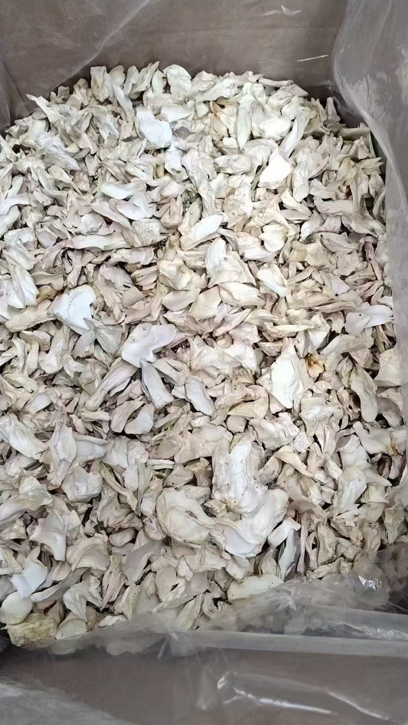 杏鲍菇片干货批发产地直供肉质厚实量大从优品质好