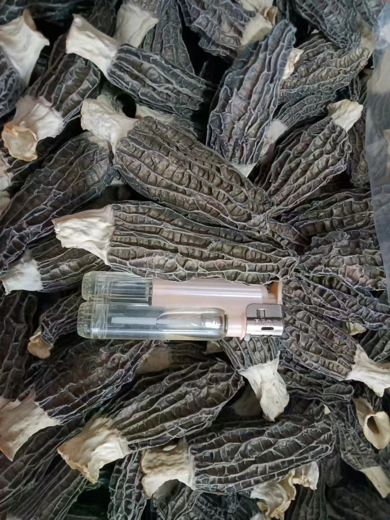 精选羊肚菌干货批发产地直供肉厚鲜香量大从优