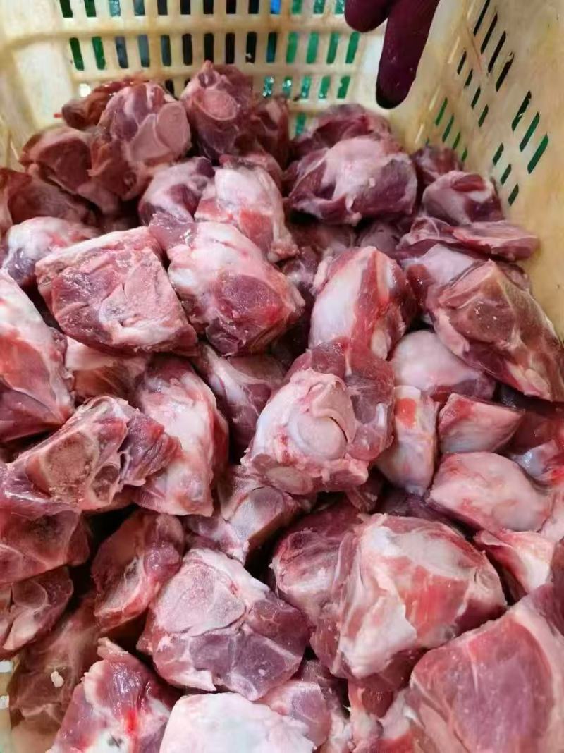 多肉羊关节骨40斤一件