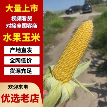 水果玉米/产区直发/货源充足/欢迎选购/