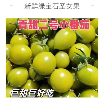 寿光圣女果产地直供新鲜现摘批发量大从优品质上乘