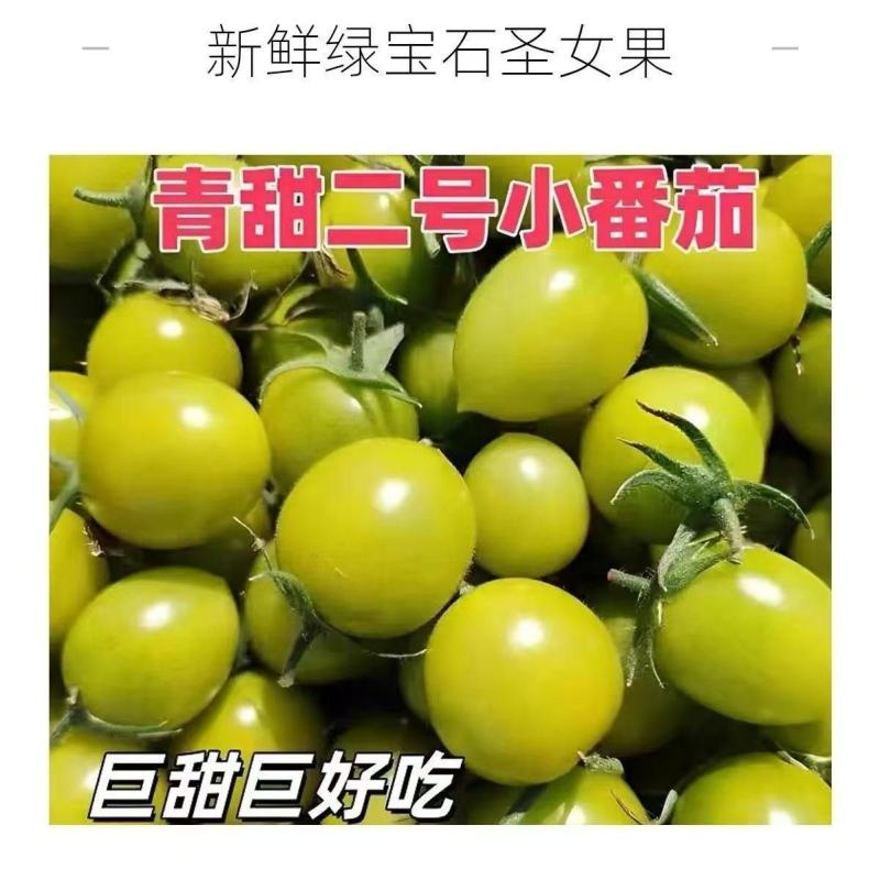 寿光圣女果产地直供新鲜现摘批发量大从优品质上乘