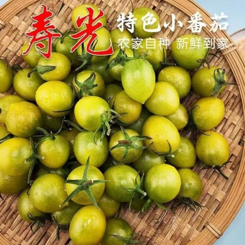 寿光圣女果产地直供新鲜现摘批发量大从优品质上乘