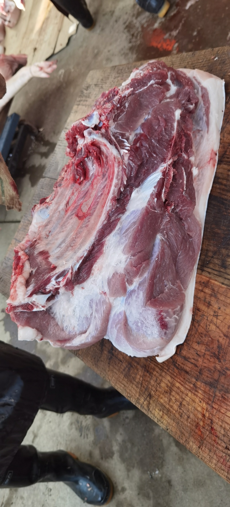 益生菌发酵构叶猪肉