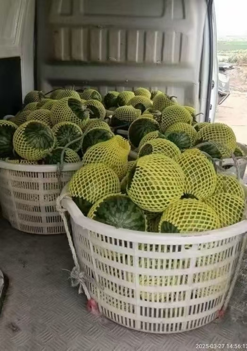 西瓜