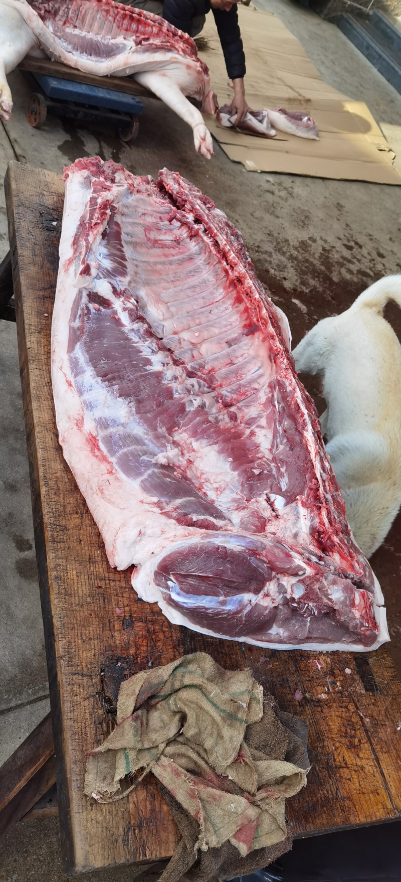 益生菌发酵构叶猪肉