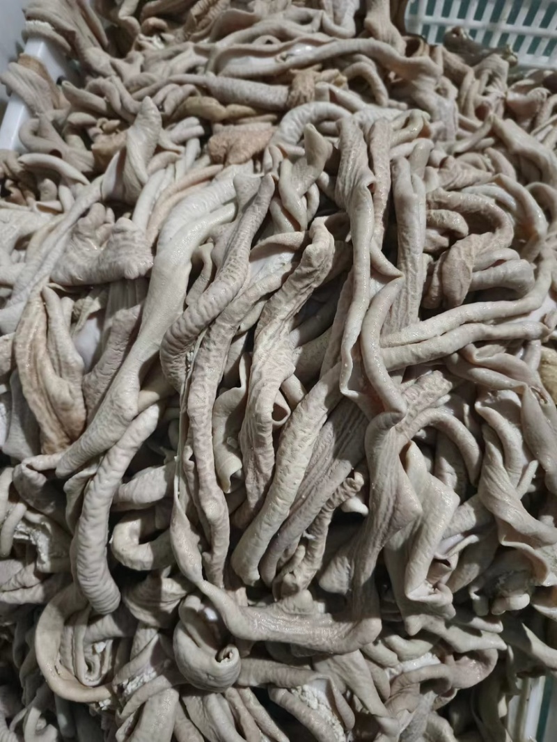 国产纯干牛肠，价格便宜，质量保证。