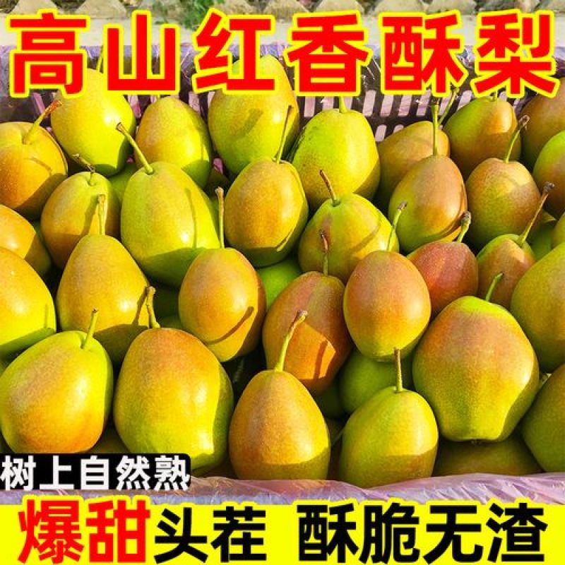 红香酥梨产地直供脆甜多汁细腻无渣货源充足