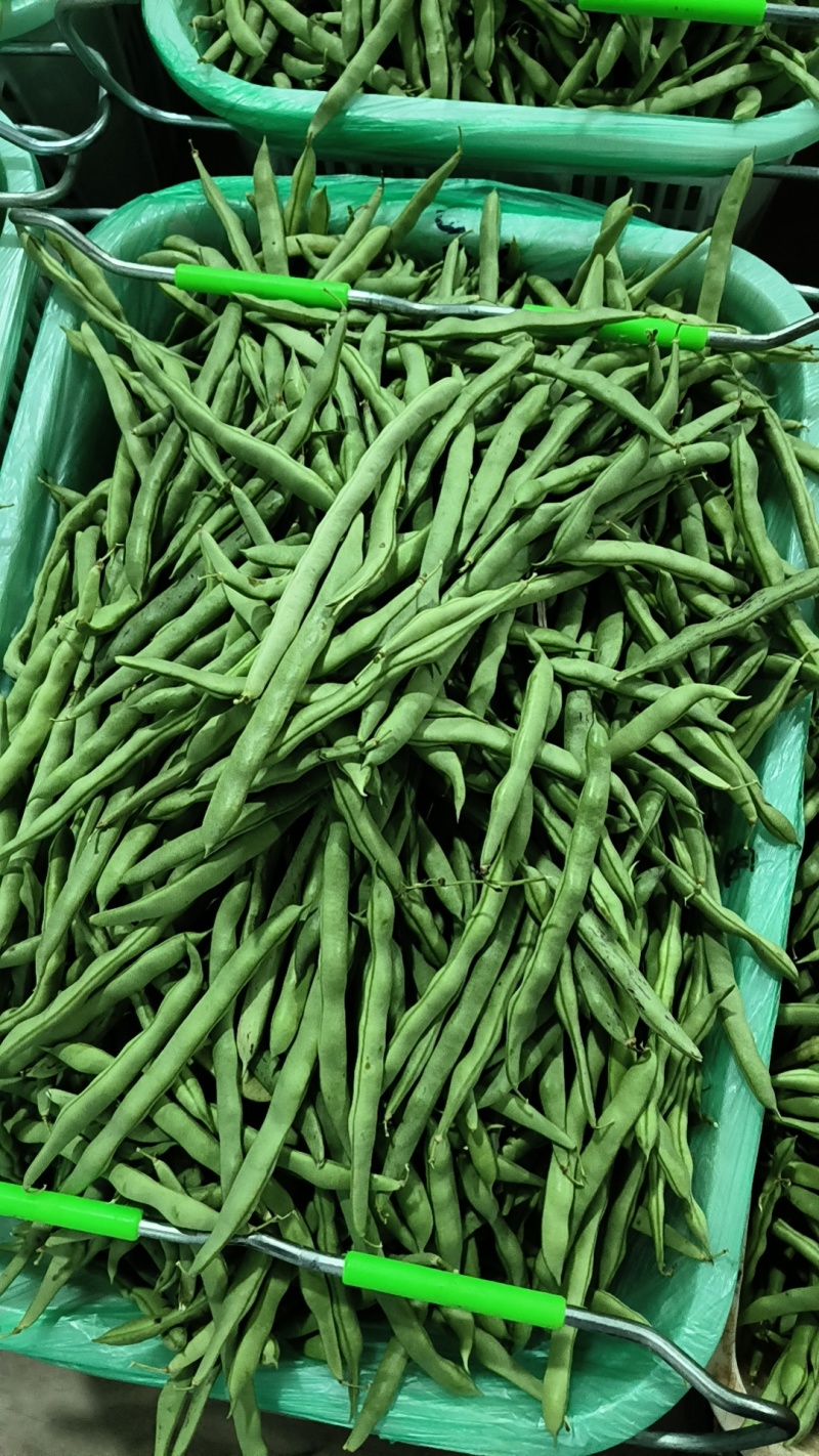 豆角