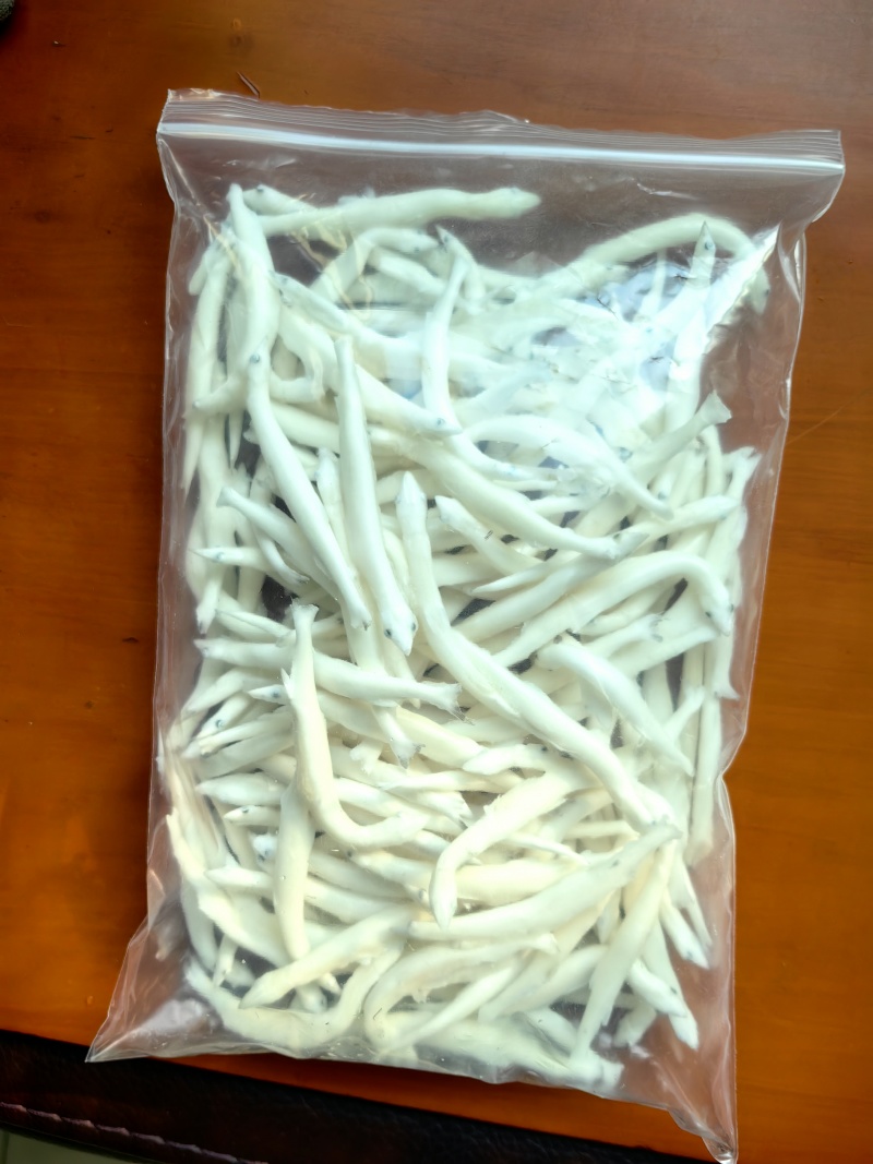 供应银鱼