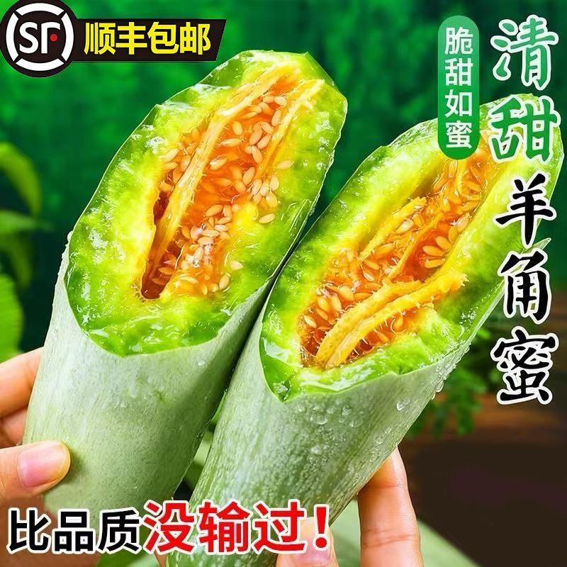 山东羊角蜜甜瓜/支持线上线下/一件代发/全程一条龙服务