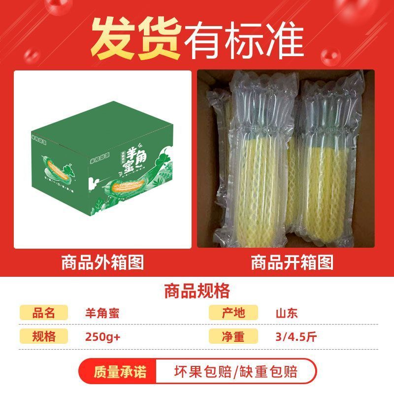 山东羊角蜜甜瓜/支持线上线下/一件代发/全程一条龙服务
