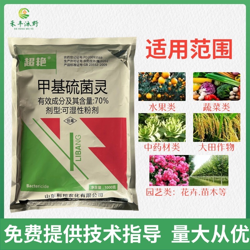 70%甲基硫菌灵农用番茄蔬菜叶霉病炭疽病专用农药杀菌